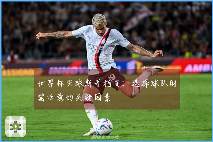 世界杯买球新手指南：选择球队时需注意的关键因素