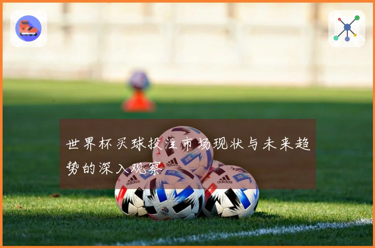 世界杯买球投注市场现状与未来趋势的深入观察