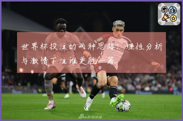 世界杯投注的两种思路：理性分析与激情下注谁更胜一筹