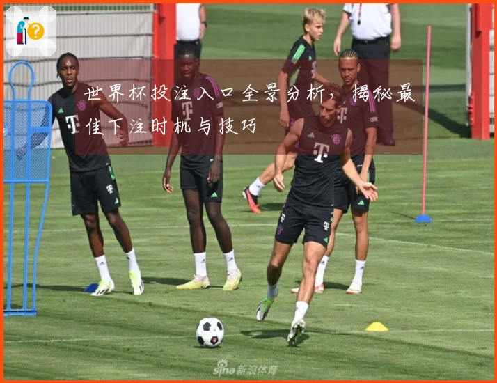 世界杯投注入口全景分析，揭秘最佳下注时机与技巧