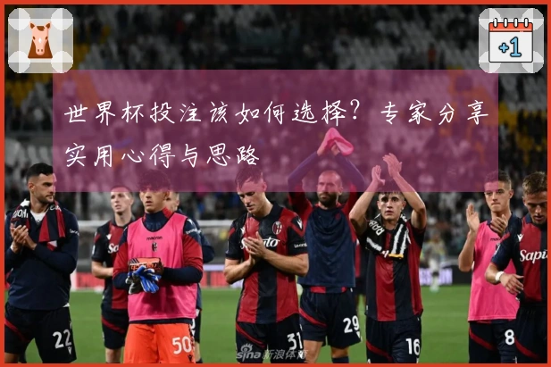 世界杯投注该如何选择？专家分享实用心得与思路