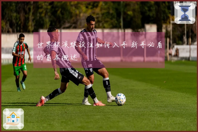 世界杯滚球投注如何入手 新手必看的基本概述