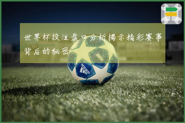 世界杯投注盘口分析揭示精彩赛事背后的秘密