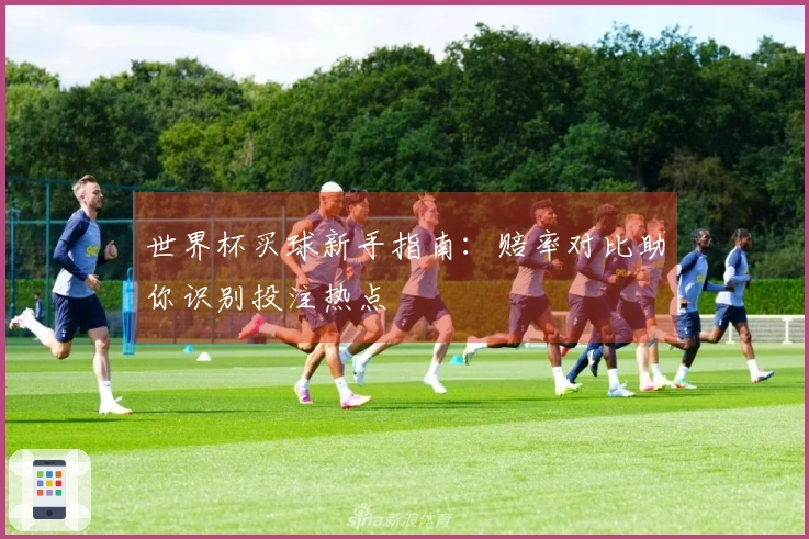 世界杯买球新手指南：赔率对比助你识别投注热点