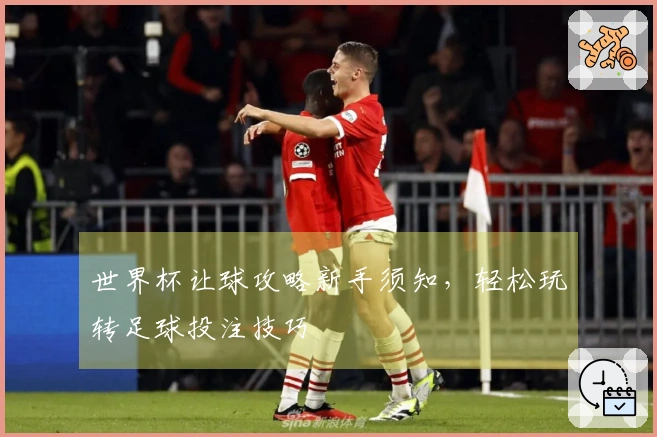 世界杯让球攻略新手须知，轻松玩转足球投注技巧