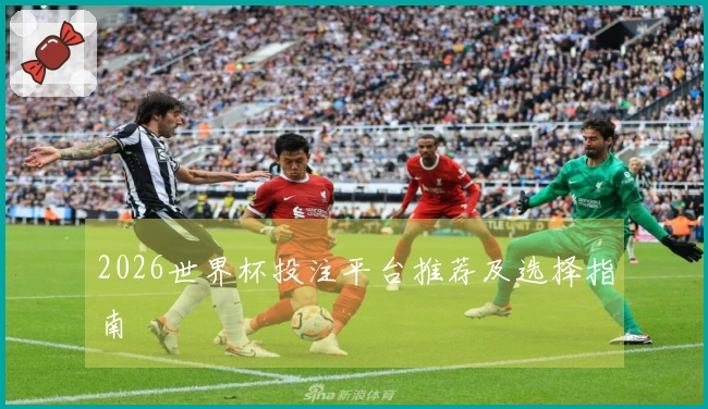 2026世界杯投注平台推荐及选择指南