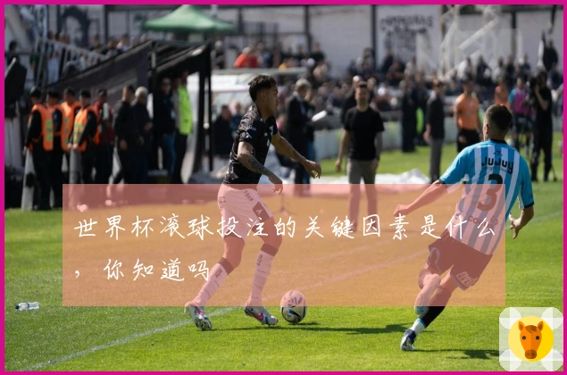 世界杯滚球投注的关键因素是什么，你知道吗