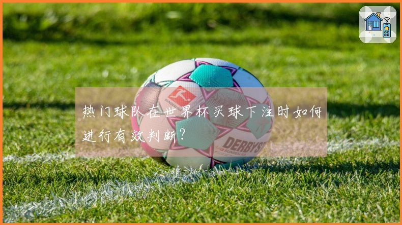 热门球队在世界杯买球下注时如何进行有效判断？