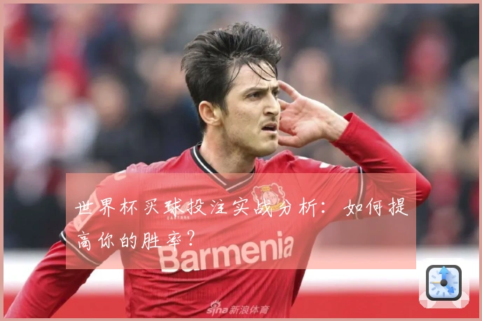 世界杯买球投注实战分析:如何提高你的胜率?