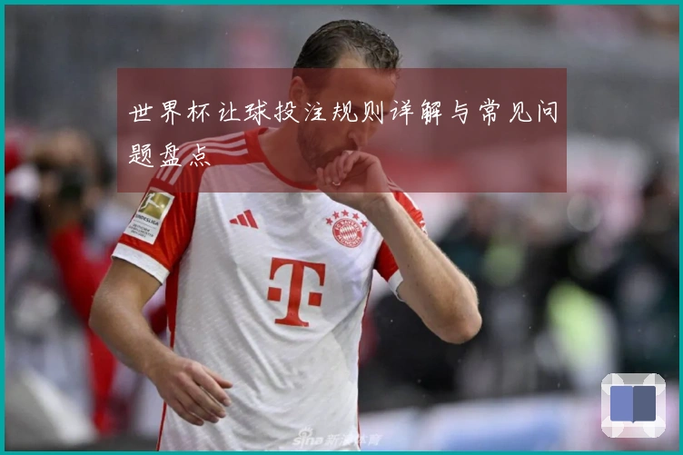 世界杯让球投注规则详解与常见问题盘点