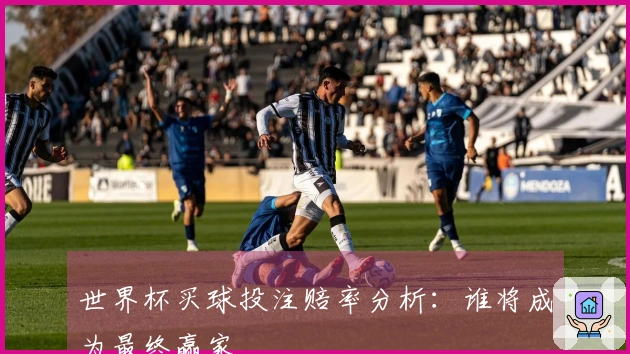 世界杯买球投注赔率分析：谁将成为最终赢家