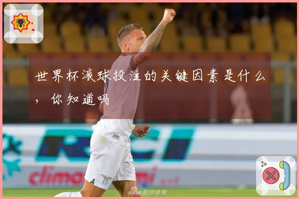 世界杯滚球投注的关键因素是什么，你知道吗