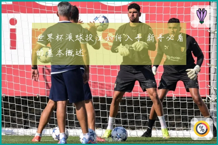 世界杯滚球投注如何入手 新手必看的基本概述